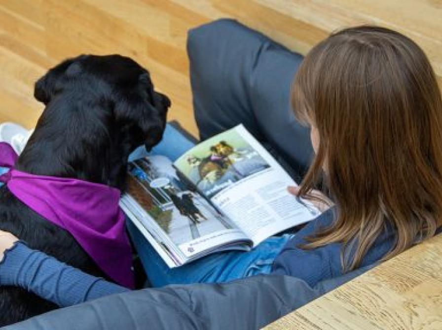 Barn der sidder og læser på en sofa med en hund ved siden af.